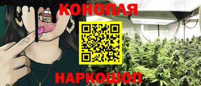 прущие грибы Татарск