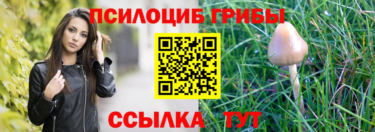 Псилоцибиновые грибы Psilocybe  Вход с VPN  Псилоцибиновые грибы Magic Shrooms  Новошахтинск 